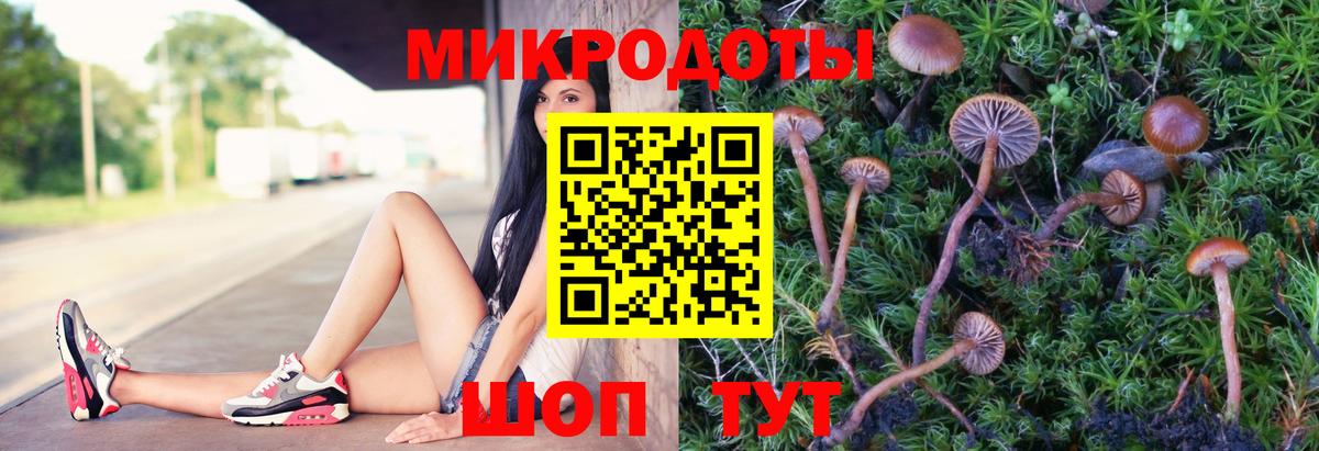 Тверь  где можно купить   Вход с VPN  Псилоцибиновые грибы Cubensis 