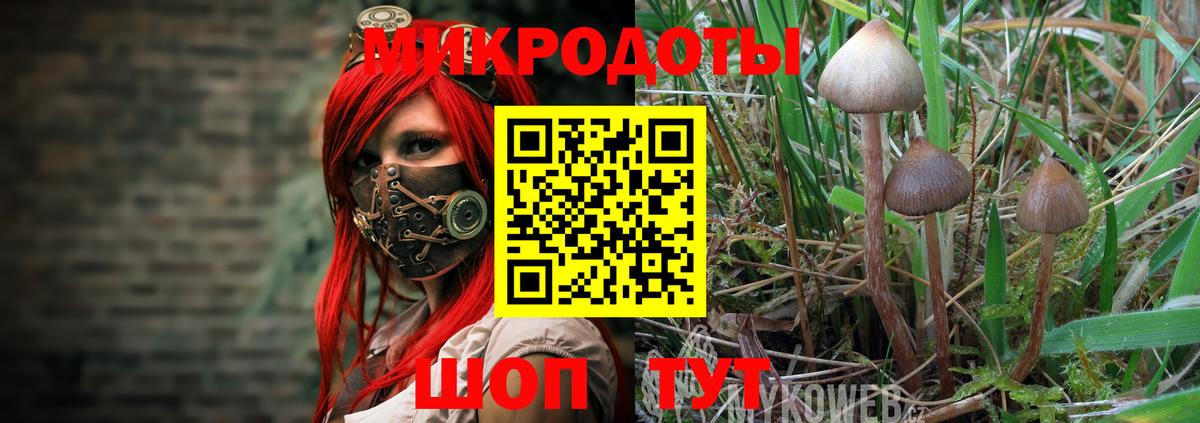 Галлюциногенные грибы прущие грибы Тверь